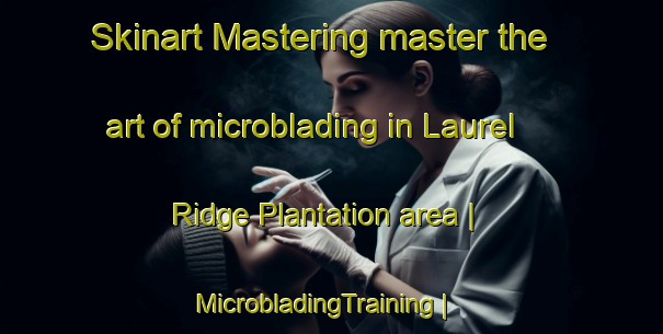 Skinart Mastering master the art of microblading in Laurel Ridge Plantation area | MicrobladingTraining | MicrobladingClasses | SkinartTraining-United States